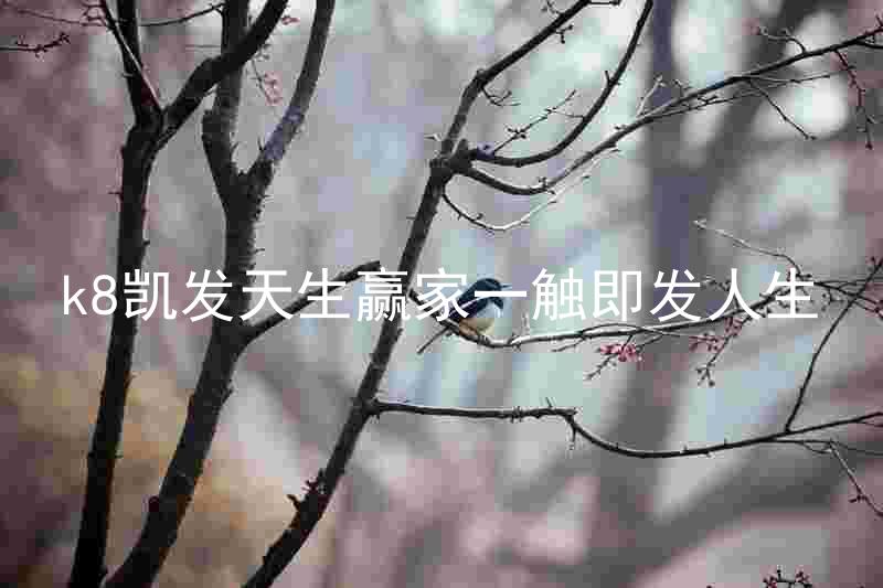 k8凯发天生赢家一触即发人生
