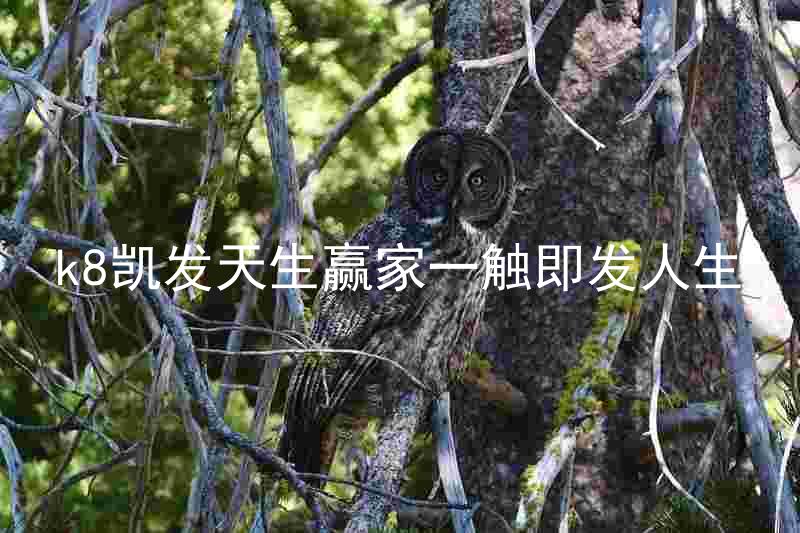 k8凯发天生赢家一触即发人生